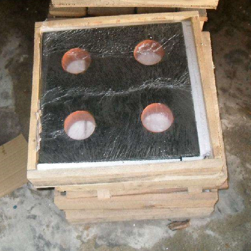 පරීක්ෂණ පාලකයා